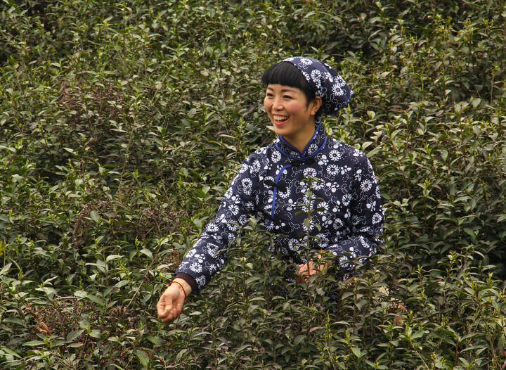 香烟杀手